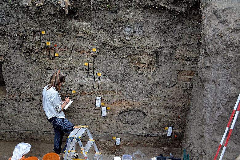 Siedlungsschichten im Grabungsprofil von Békés-Várdomb in Ungarn