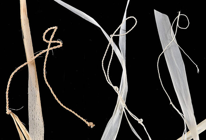 Lindenbast: Die Qualität der Bastschichten und der daraus hergestellten Spleißfäden hängt von ihrer Nähe zum Holz eines Baumes ab
