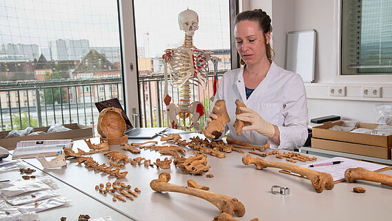 Knochenuntersuchung im Osteologie-Labor