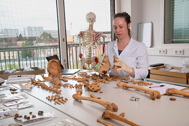 Knochenuntersuchung im Osteologie-Labor