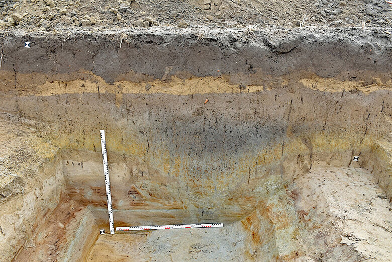 Spitzgraben des Marschlagers von Aken 1 im Grabungsprofil