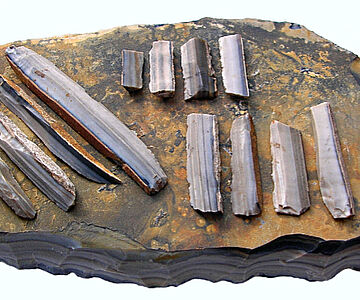 Gebänderter Plattenhornstein aus dem Bergwerk von Arnhofen. Rohplatte aus der Arnhofener Lagerstätte; Rohklingen und präparierte Klingensegmente aus dem Produktionszentrum von Regensburg-Pürkelgut (lange Rohklinge links: 8,29 cm) copyright A. Binsteiner