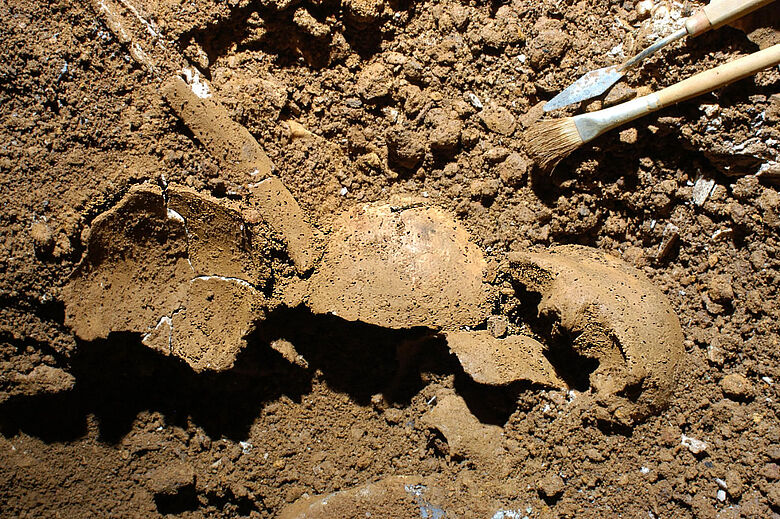 Freigelegte menschliche Skelettüberreste Freigelegte menschliche Skelettüberreste