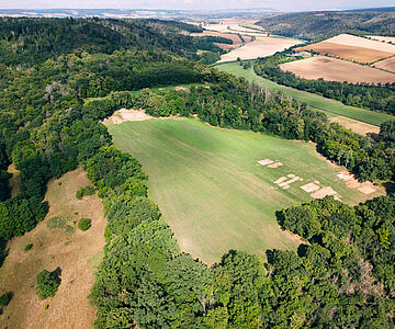 Drohnenaufnahme der Altenburg bei Großwangen