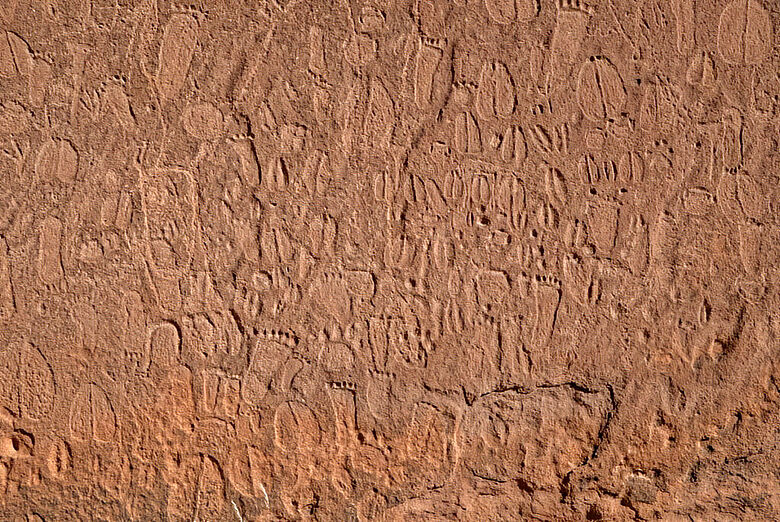 Petroglyphen von Tierspuren und menschlichen Fußabdrücken