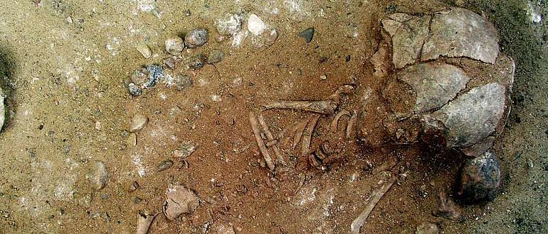 Erst im Labor der HTW Berlin wurde das Grab eines kleinen Kindes freigelegt Erst im Labor der HTW Berlin wurde das Grab eines kleinen Kindes freigelegt