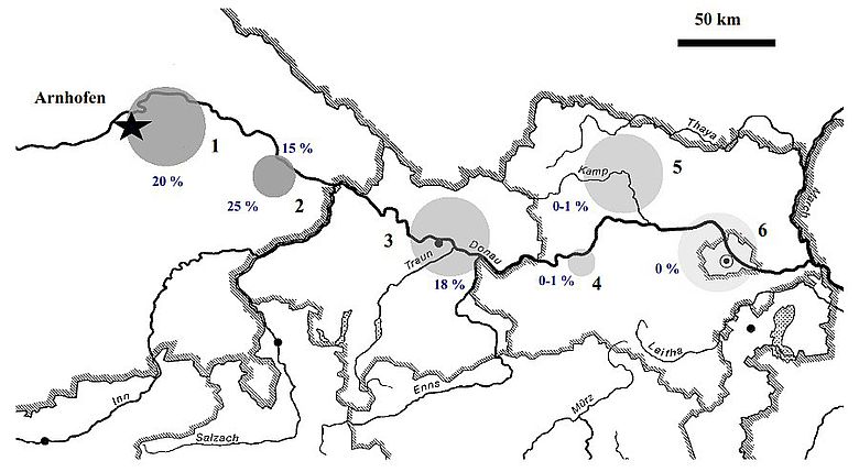 Verbreitungskarte Plattenhornstein LBK Verbreitungskarte Plattenhornstein LBK