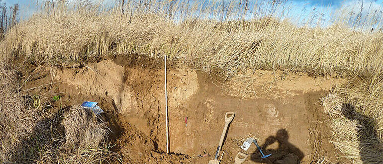 Auelehm der Weißen Elster