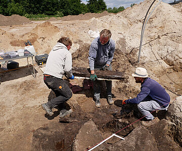 Bergung von Holzfunden