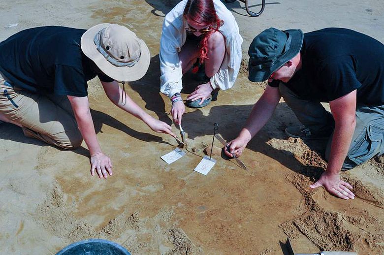 Archäologiestudierende beim vorsichtigen Freilegen von Scherben