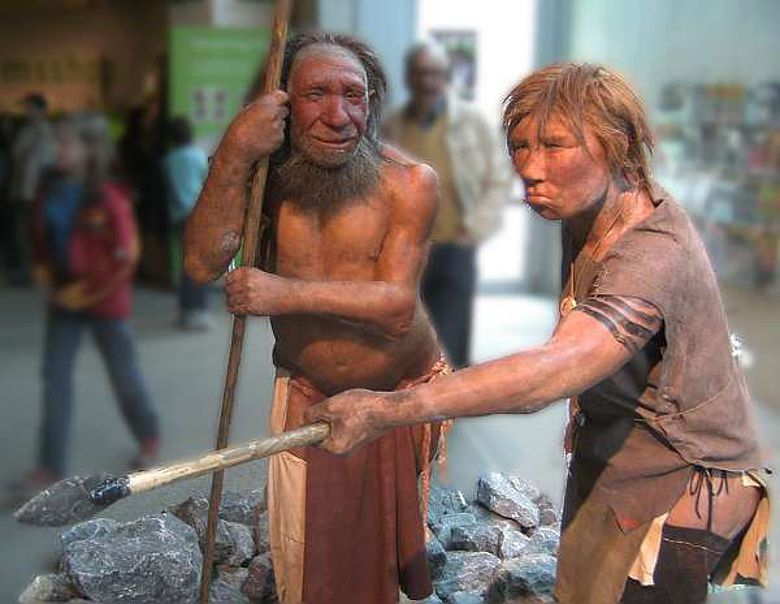 Wieviel Neandertaler steckt in uns und wieso eigentlich nur so wenig? (Foto: UNiesert; CC BY-SA 3.0)