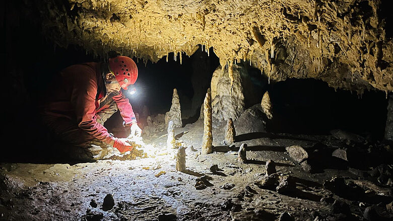 Tropfsteine in der Closani-Höhle als Klimaarchiv