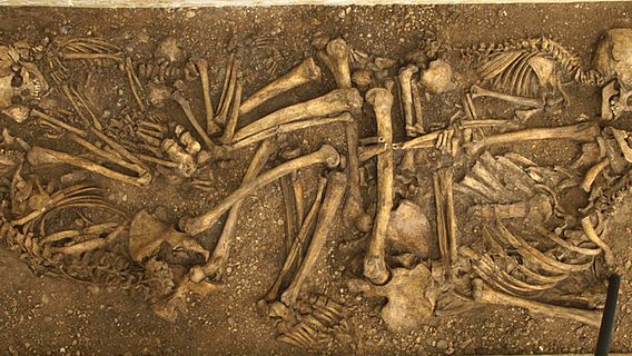 Das steinzeitliche Familiengrab von Eulau