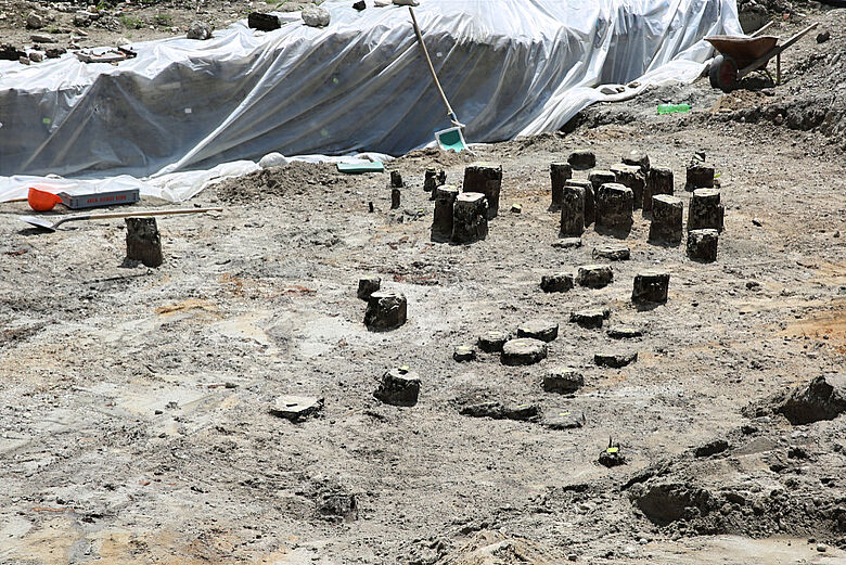 Freigelegte Brückenjoche Freigelegte Brückenjoche