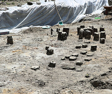 Freigelegte Brückenjoche