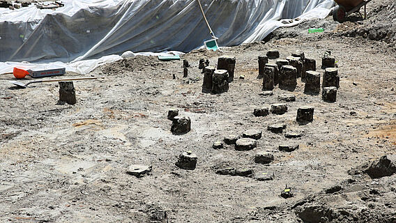 Freigelegte Brückenjoche