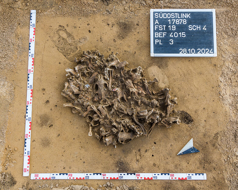 Biberknochengrube