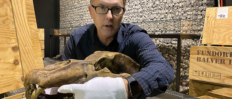 Digitale Führung im LWL Museum für Archäologie