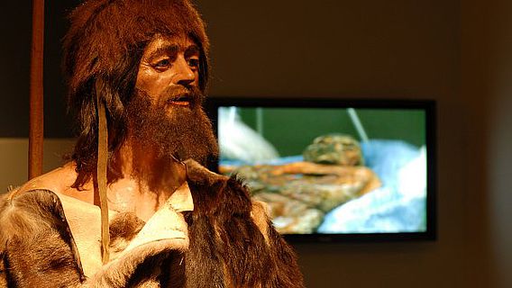 Rekonstruktion des Ötzi im Museum in Bozen (Foto: Südtiroler Archäologiemuseum / A. Kaiser)