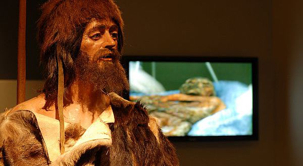 Rekonstruktion des Ötzi im Museum in Bozen (Foto: Südtiroler Archäologiemuseum / A. Kaiser)