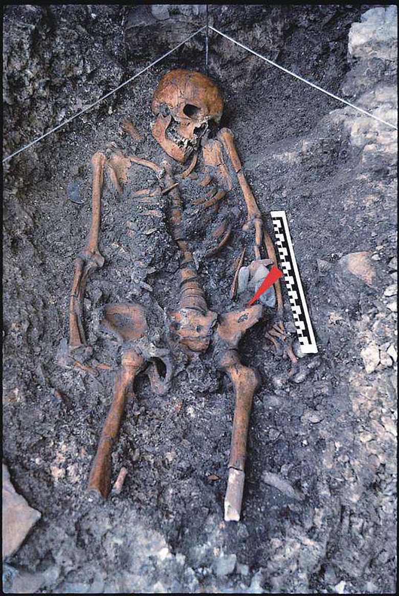 14.000 Jahre altes Skelett