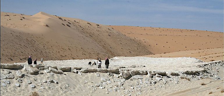 Forschende untersuchen den Alathar-See, der in einer Senke zwischen zwei Sanddünen in der westlichen Nefud-Wüste in Saudi-Arabien liegt