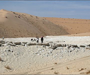 Forschende untersuchen den Alathar-See, der in einer Senke zwischen zwei Sanddünen in der westlichen Nefud-Wüste in Saudi-Arabien liegt
