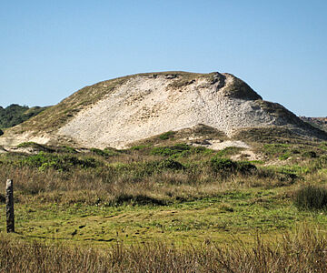 Prähistorischer Muschelhügel (Sambaqui) in Brasilien