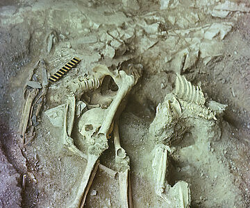 Ausgrabung in der Nizhnetytkesken-Höhle