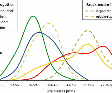 Diagramm: Größenklassen