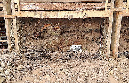 Baugrubenprofil, in dem noch Reste der als Unterbau dienenden Balken und der darauf ruhenden Mauer zu sehen sind