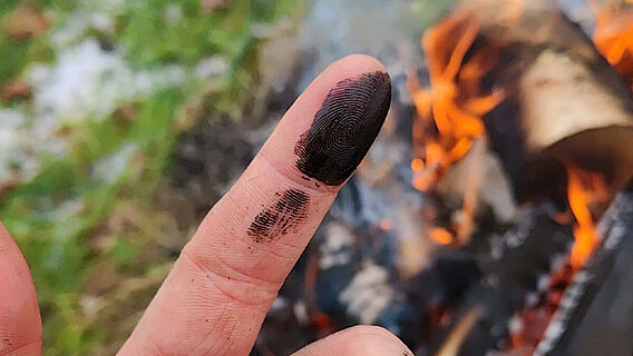 Birkenpech-Experiment