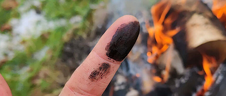 Birkenpech-Experiment