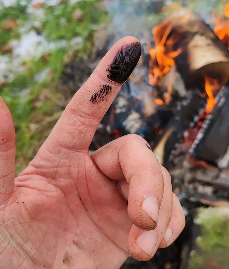 Birkenpech-Experiment