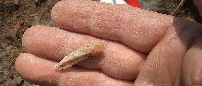 Silexpfeilspitze Westerkappeln