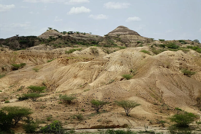 Prähistorische Fundstätte Namorotukunan im Turkana-Becken, Kenia