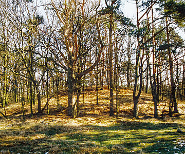 Königsgrab von Seddin