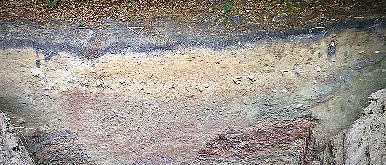 Graben der Michelsberger Kultur