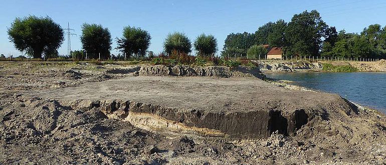 Torflinse als dunkle Schicht über dem hellen Sand