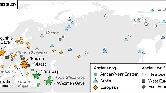 Karte mit Fundorten paläollithischer Hundeknochen