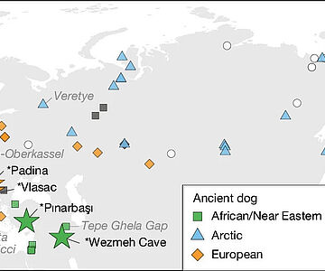 Karte mit Fundorten paläollithischer Hundeknochen