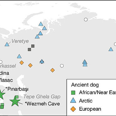 Karte mit Fundorten paläollithischer Hundeknochen