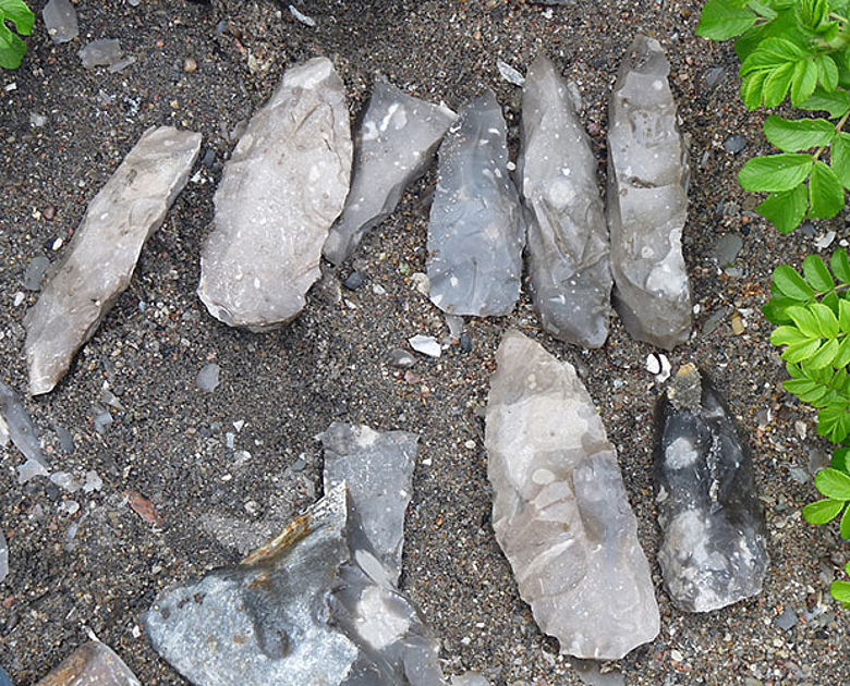Die Steinzeitwerkzeuge (Foto: Johannes Steinkühler)