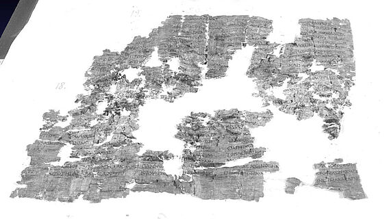 Entrollter Papyrus aus Herculaneum Entrollter Papyrus aus Herculaneum