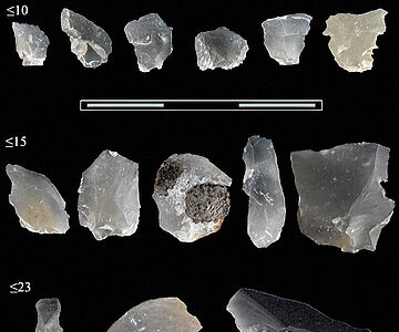 Feuersteinsplitter aus Schöningen