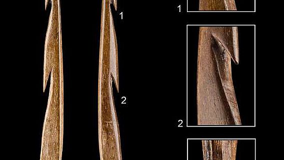 13.000 Jahre alten Fischspeerspitze aus Knochen