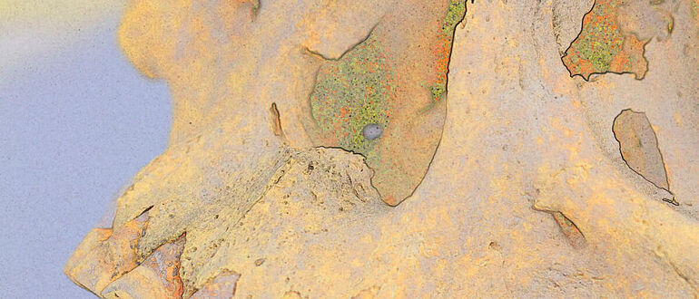 Menschlicher Schädel aus Chile