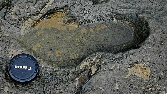 Menschlicher Fußabdruck aus dem Pleistozän