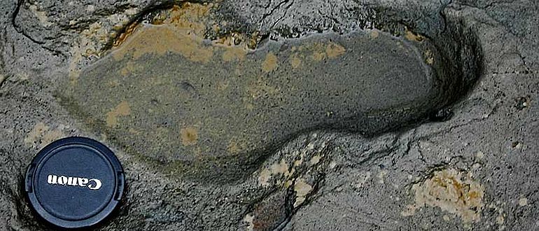 Menschlicher Fußabdruck aus dem Pleistozän