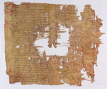 Papyrus Cotton, Detail